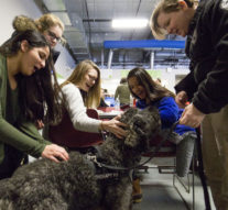 Therapy Dog Is The New Non-Lethal Addition To The University Of Kentucky’s Police