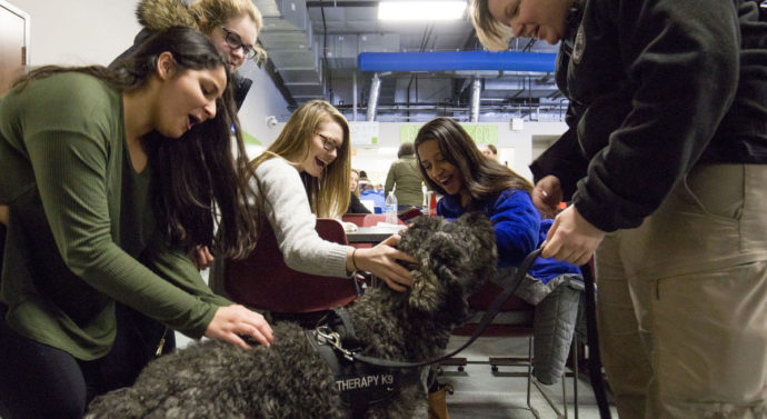 Therapy Dog Is The New Non-Lethal Addition To The University Of Kentucky’s Police