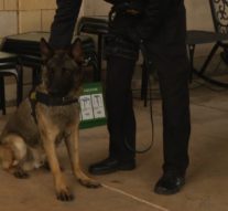 Texas Grocery Store To Introduce New K-9 Non-Lethal Protection