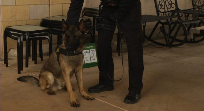 Texas Grocery Store To Introduce New K-9 Non-Lethal Protection