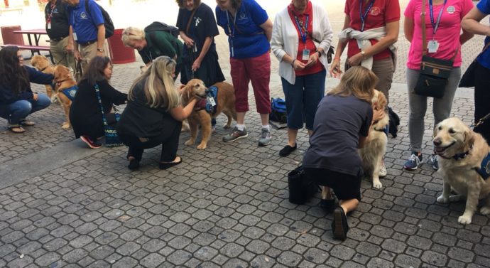 Therapy Dogs Help Students In Their Return To Marjory Stoneman Douglas High School